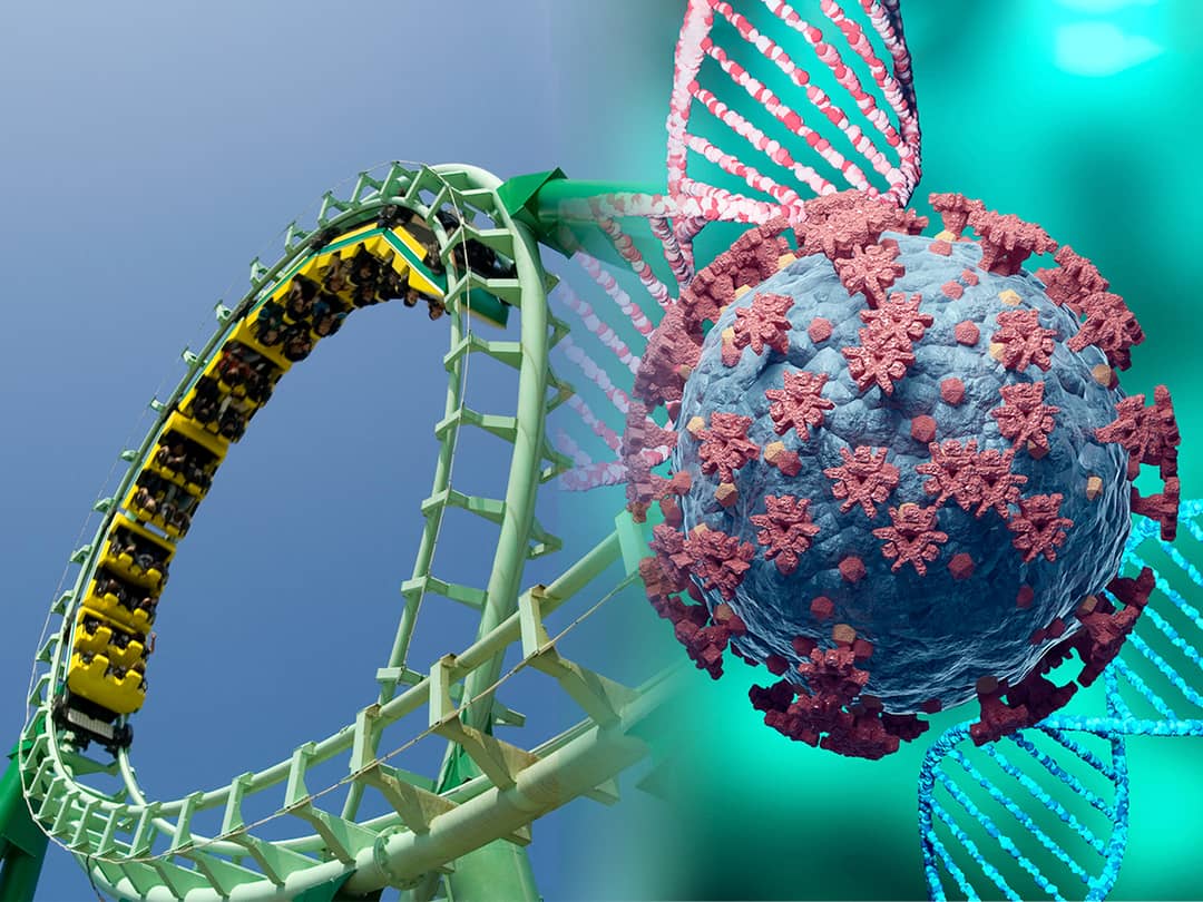 The rollercoaster ride out of restrictions towards COVID-normal