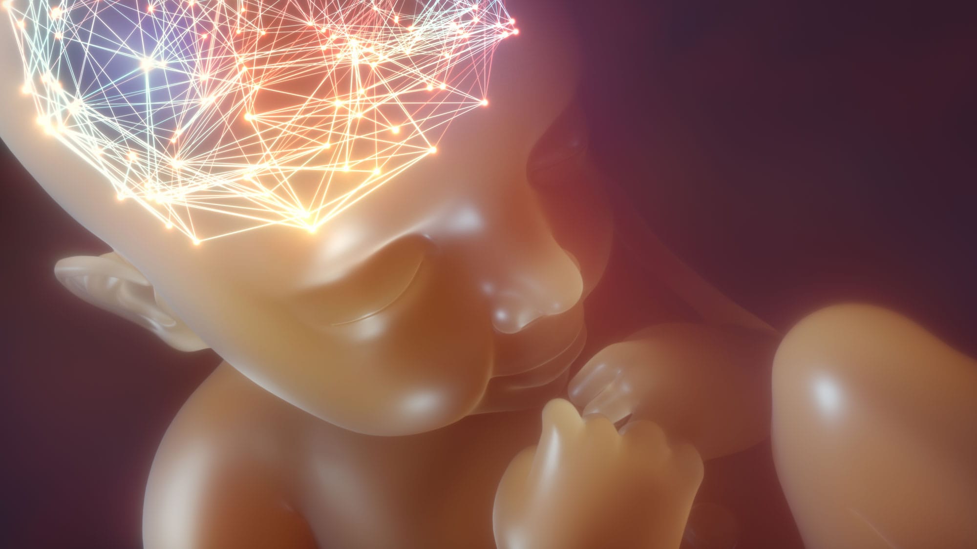 Piecing together the Down Syndrome brain puzzle