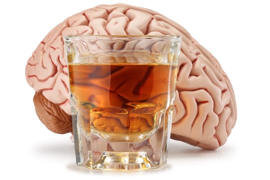 The protein with the potential to rewire the alcohol-addicted brain