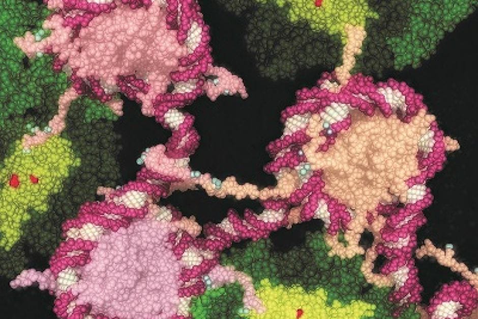 The drug that can put some cancer cells to sleep