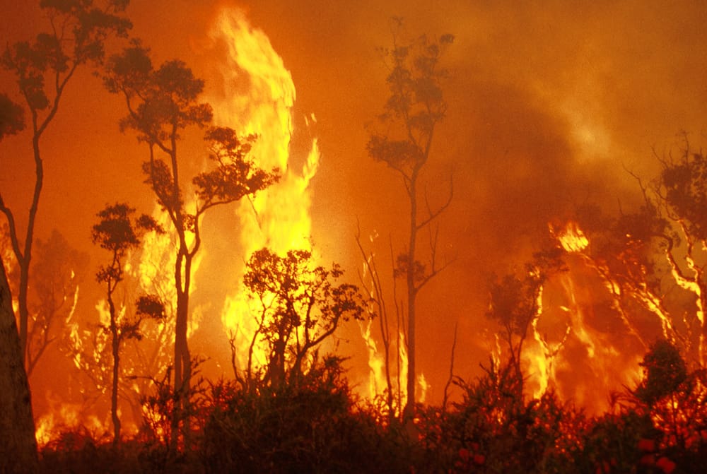 Droughts, fires and flooding rains – measuring the human cost post image