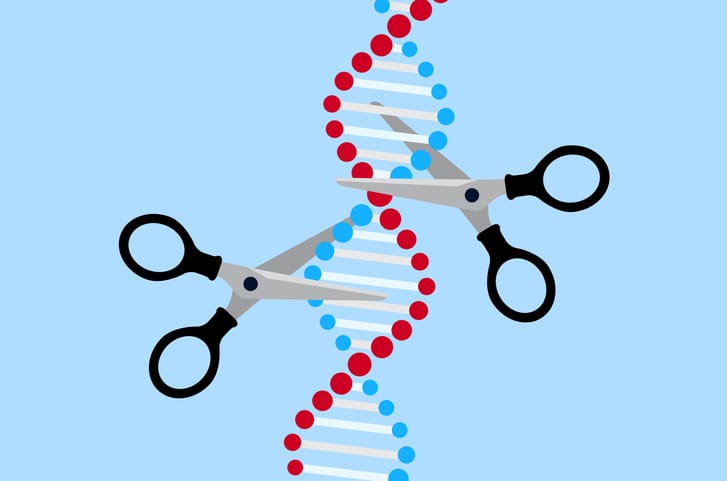 CRISPR case highlights the ethical concerns over gene editing post image