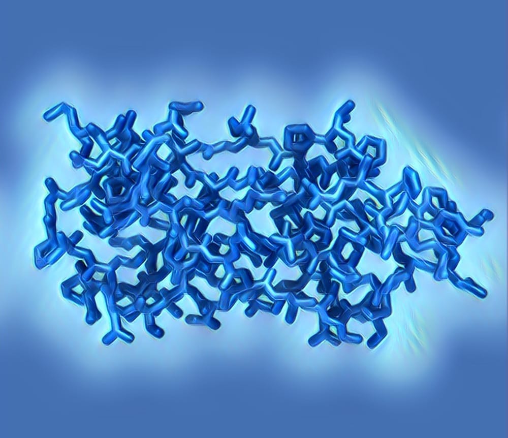 Creating order from disorder: uncovering the origins of protein evolution post image