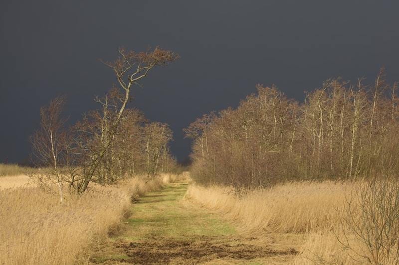 Thunderstorm asthma: who’s at risk, and how to manage it post image