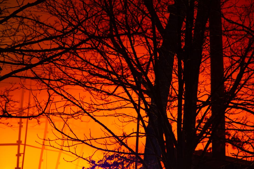 Powerless to prevent catastrophic bushfires? No, we're not post image