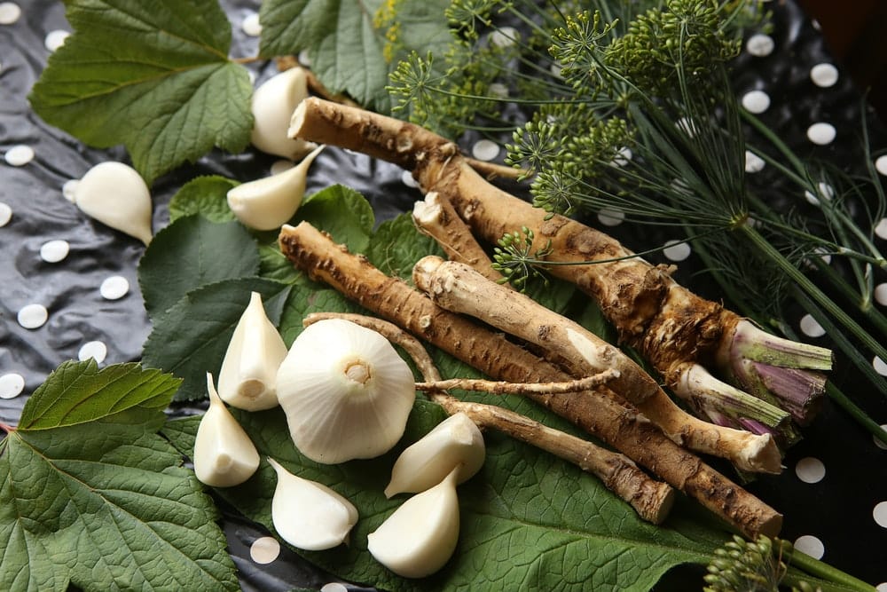 Can horseradish and garlic really ease a cold? post image