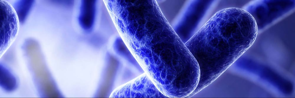 Antibiotic-resistant superbugs – the endless quest post image