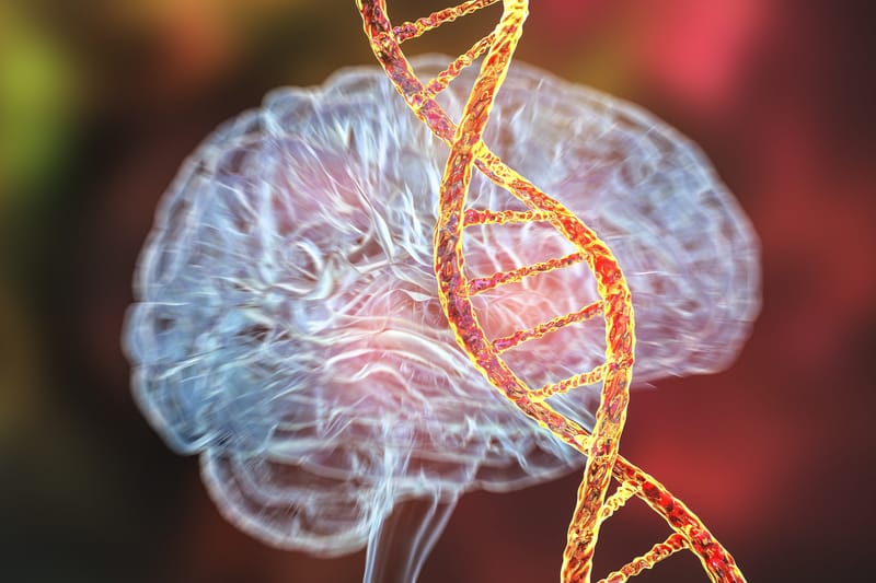 Trauma is carried in your DNA – but science reveals a more complicated story post image