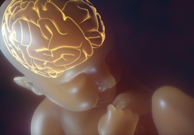 Tiny brains, big science: Advancing neuroprotection for pre-term babies post image