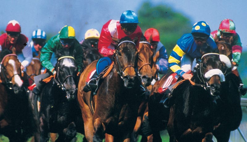 Is the Melbourne Cup losing its appeal? Here’s what the numbers reveal post image